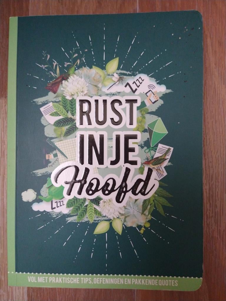 Rust in je hoofd, Verzenden, Zo goed als nieuw, Gezondheid en Conditie