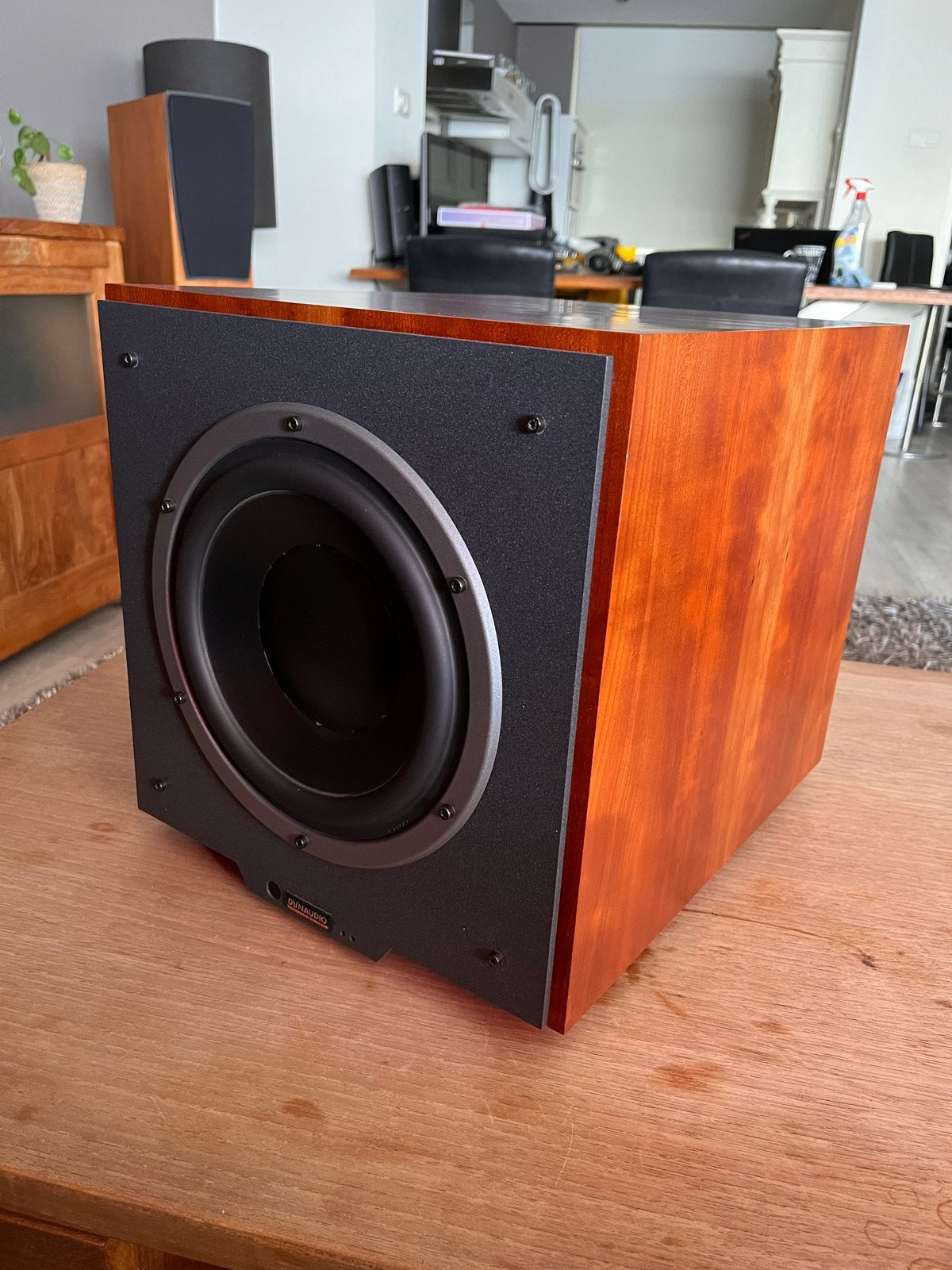 Dynaudio Sub 300 Subwoofer - Krachtige bas voor thuisbioscoo, Audio, Tv en Foto, Luidsprekers, Gebruikt, Subwoofer, Afstandsbediening
