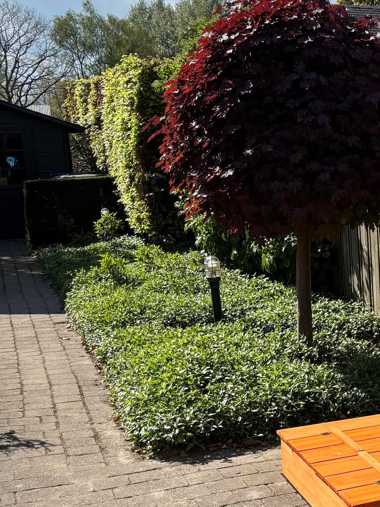 2 staande buitenlampen, Ophalen, Gebruikt, Minder dan 50 watt, Staande lamp