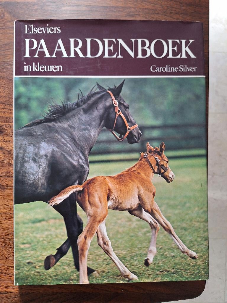 Paardenboek, Ophalen of Verzenden, Gelezen, Paarden of Pony's