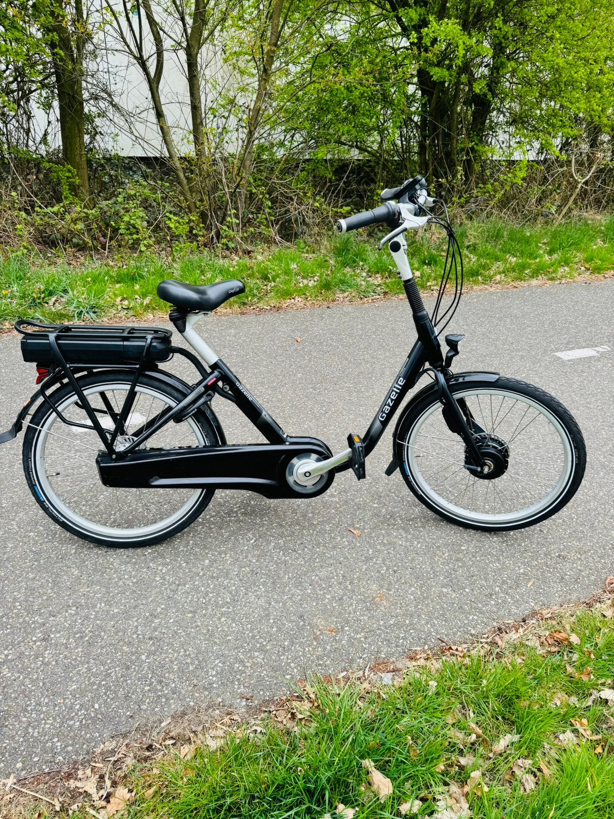 Gazelle balance elektrische fiets, Ophalen of Verzenden, Zo goed als nieuw, Gazelle