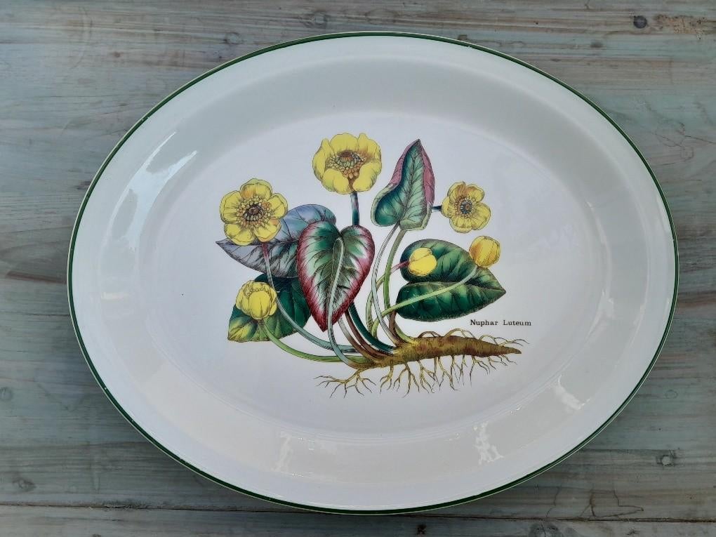 Platte ovale schaal Florabunda Wedgwood, Huis en Inrichting, Keuken | Servies, Gebruikt, Ophalen of Verzenden, Schaal of Schalen