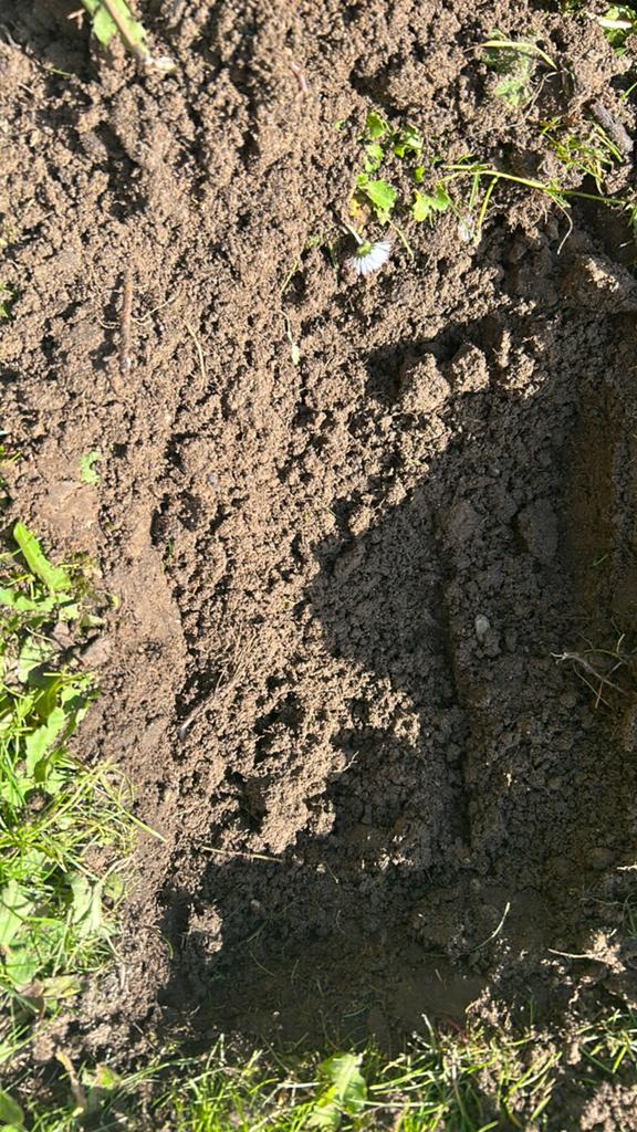 Gratis aarde afhalen, 3m³ (eigen vervoer), Ophalen of Verzenden, Tuinaarde