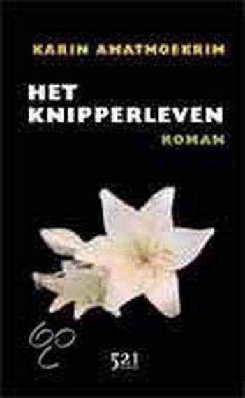 Karin Amatmoekrin: Het knipperleven. 1e druk., Ophalen of Verzenden, Gelezen, Karin Amatmoekrin, Nederland