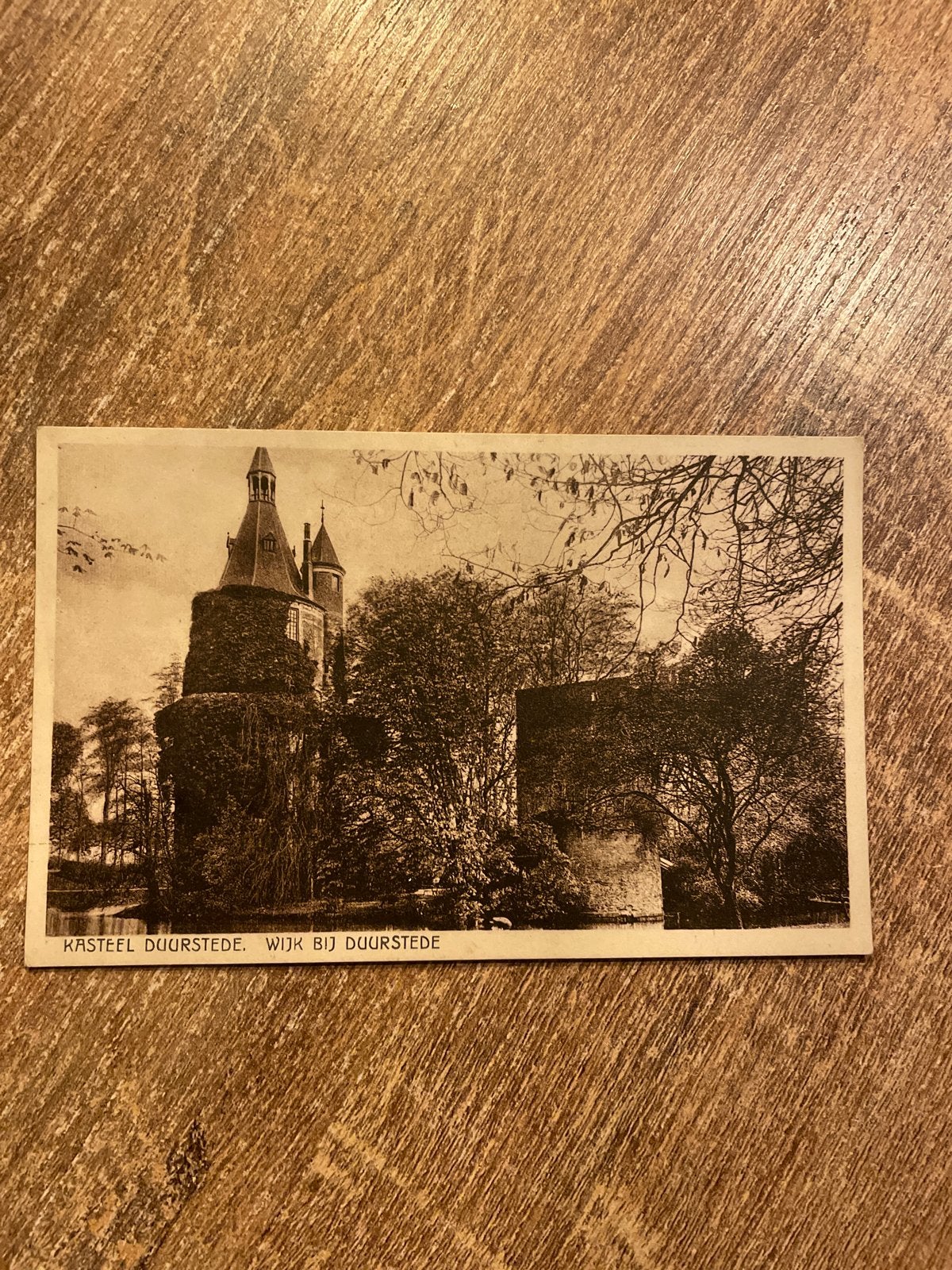 Oude ansichtkaart Kasteel Duurstede, Wijk bij Duurstede, Ophalen of Verzenden, Gelopen, Utrecht