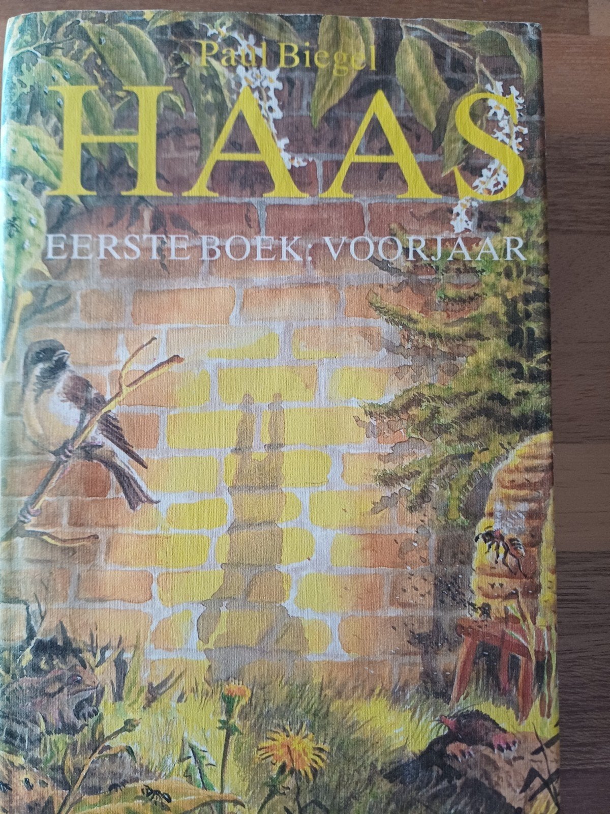 Paul Biegel. Haas Eerste Boek: voorjaar  schaars, Ophalen of Verzenden, Zo goed als nieuw, Paul Biegel, Fictie algemeen