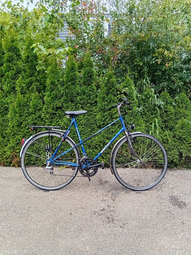 Batavus Allure Special Blue – City Comfort Bike, Ophalen, Gebruikt, Velgrem, Versnellingen