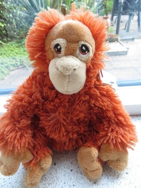 Kastanje bruine aap Orang Oetan merk Keel Toys Keeleco, Kinderen en Baby's, Ophalen of Verzenden, Nieuw, Aap, Met label