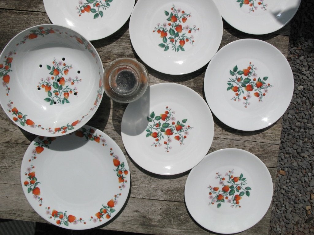 Fruit servies Limoge, Ophalen, Gebruikt, Overige typen, Overige stijlen