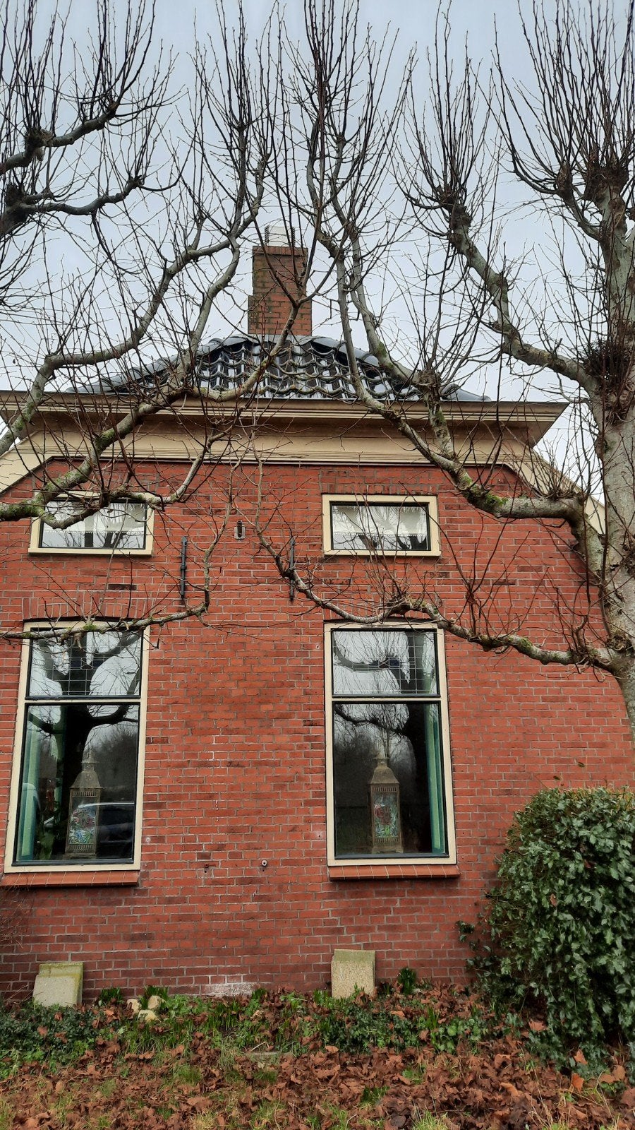 Trekkap open haard gek schoorsteenkap, Ophalen of Verzenden, Gebruikt, Vrijstaande haard, Houthaard