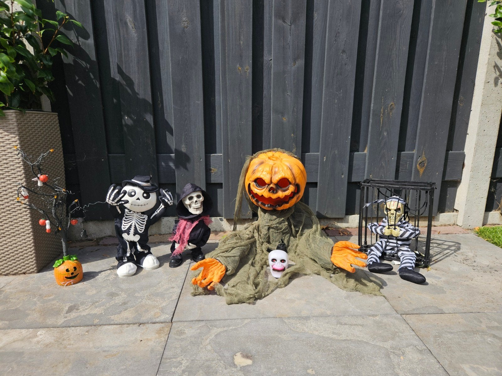 halloween lees advertenties, Ophalen of Verzenden, Halloween of Griezel