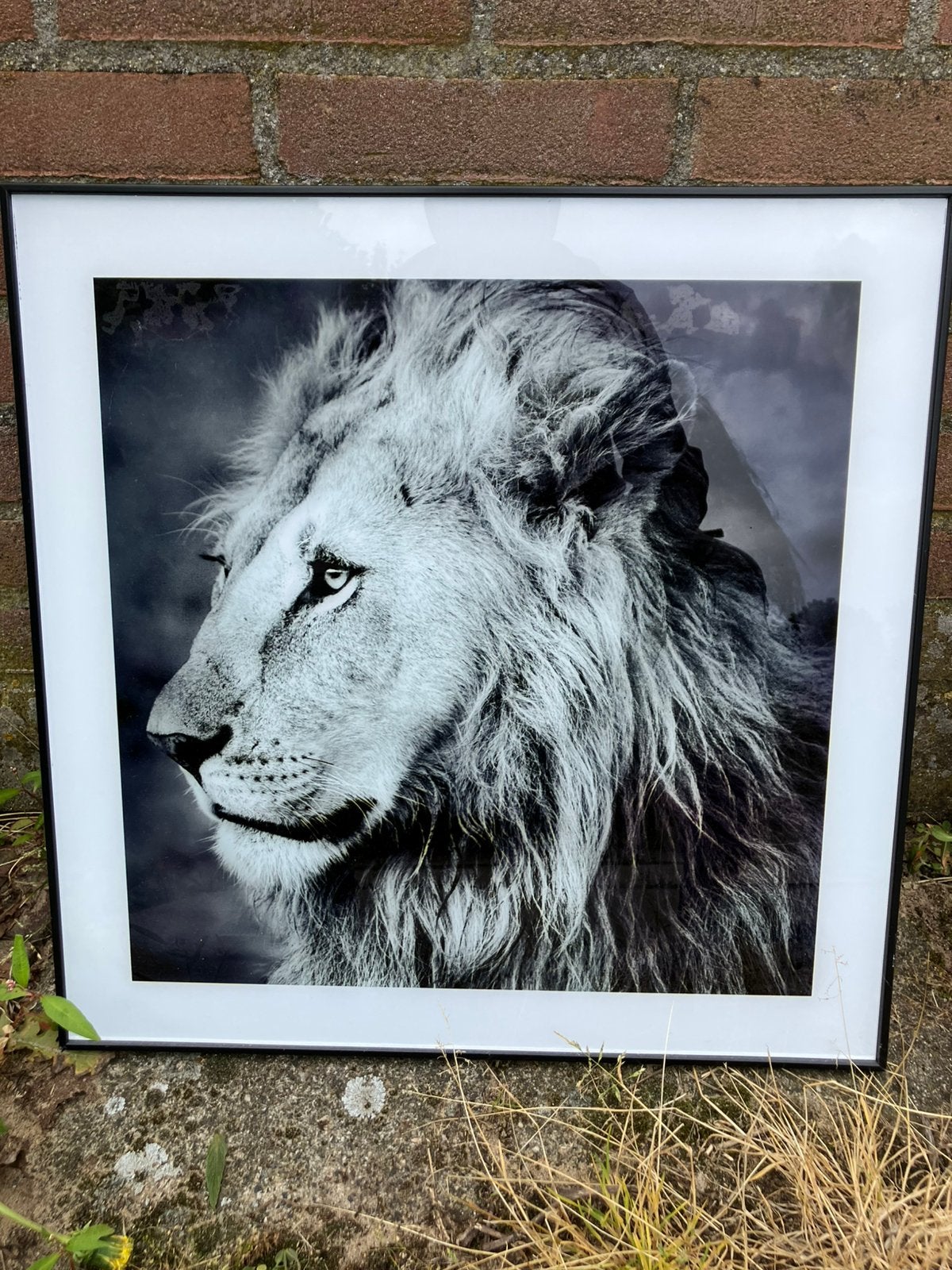 Foto-schilderij, Ophalen, 50 tot 75 cm, Schilderij