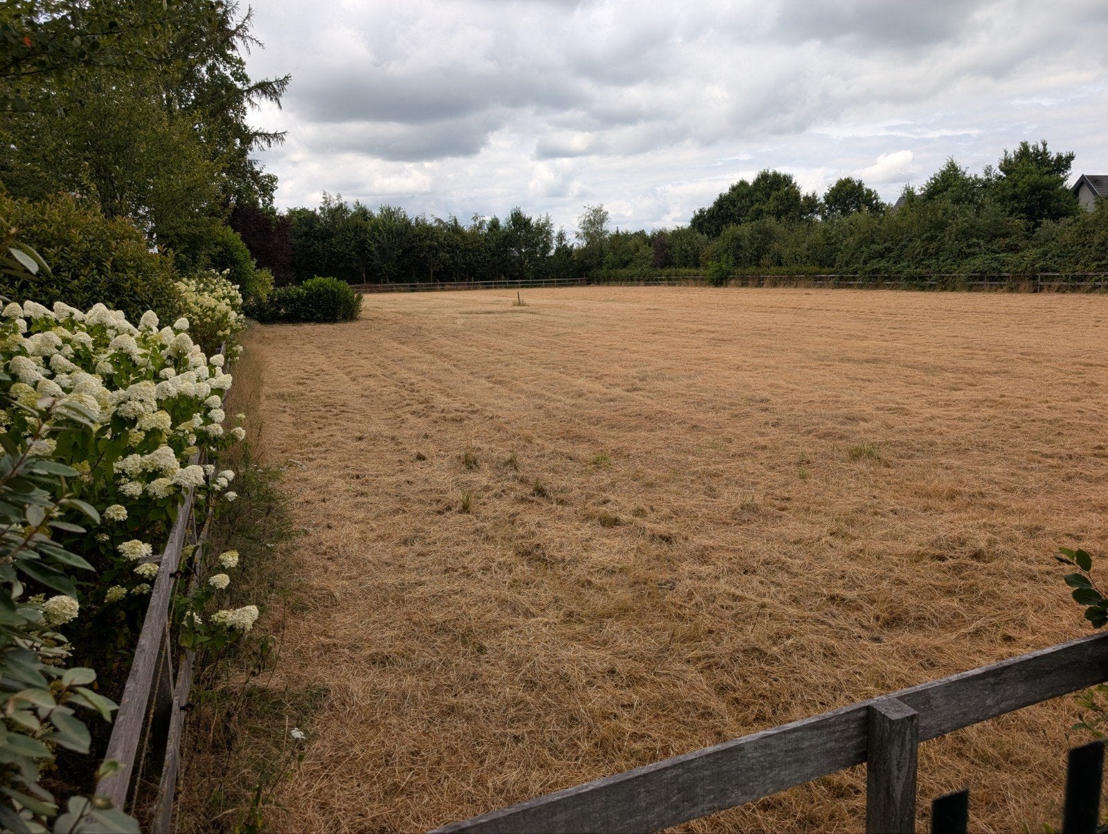 6700m2 wei te huur