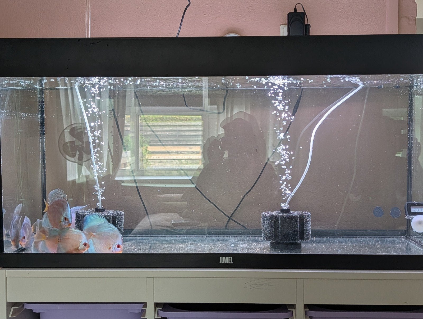 2 x Juwel 100 cm breed 2 x aqualantis 60 cm breed, Dieren en Toebehoren, Vissen | Aquaria en Toebehoren, Ophalen of Verzenden