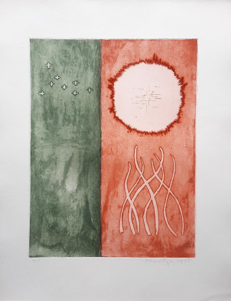 Vuur van Zon en Aarde H.C. - Kunstenaar: Jan Montyn, Antiek en Kunst, Kunst | Etsen en Gravures, 50 cm, 65 cm, Ophalen of Verzenden