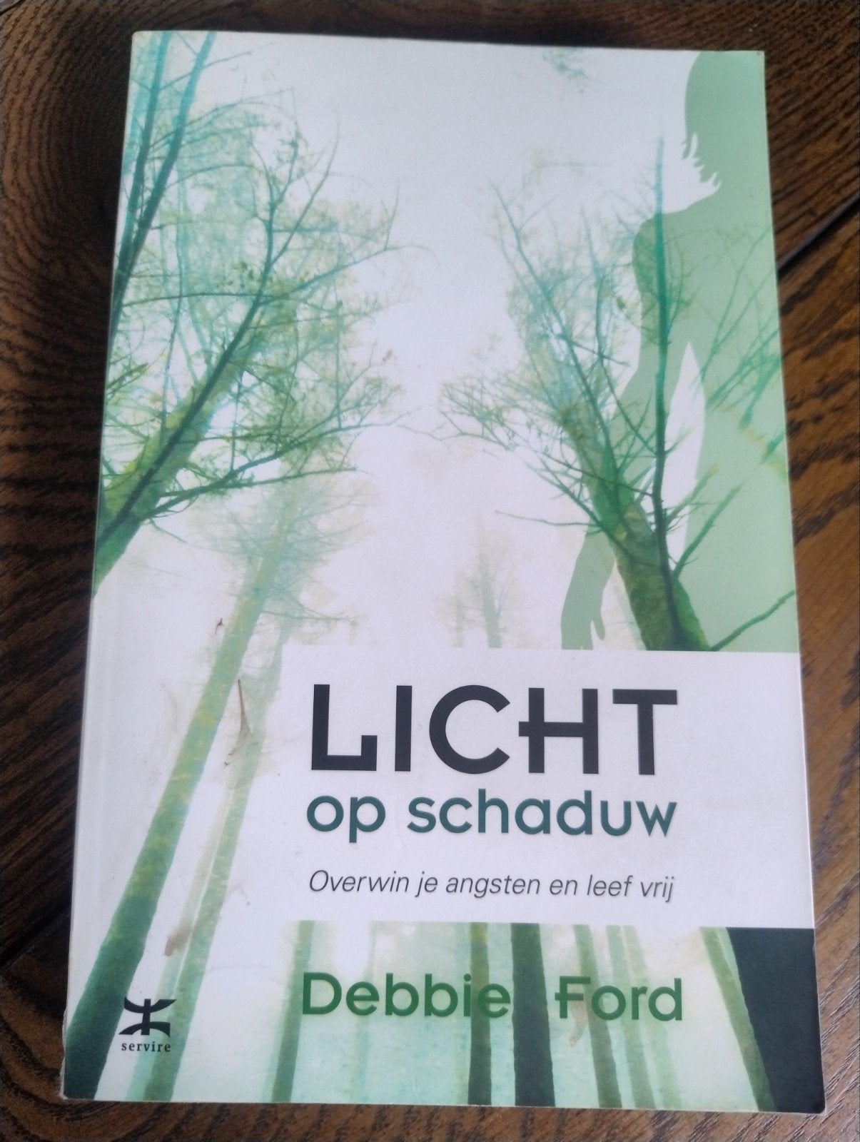 Debbie Ford - Licht op schaduw, Spiritualiteit algemeen, Ophalen of Verzenden, Zo goed als nieuw, Achtergrond en Informatie
