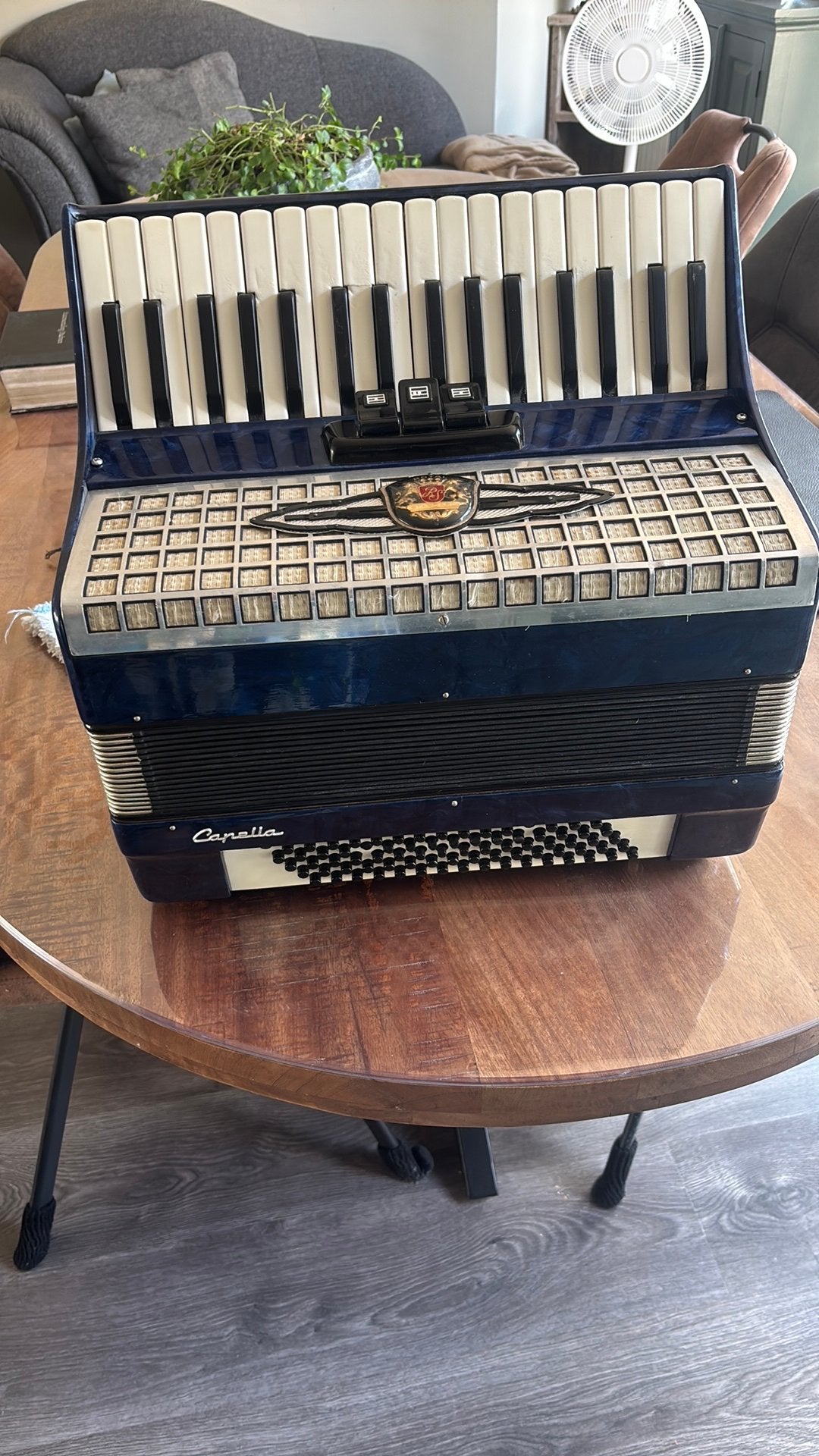 Accordeon, Muziek en Instrumenten, Accordeons, Overige merken, Gebruikt, Met riemen, 80-bas