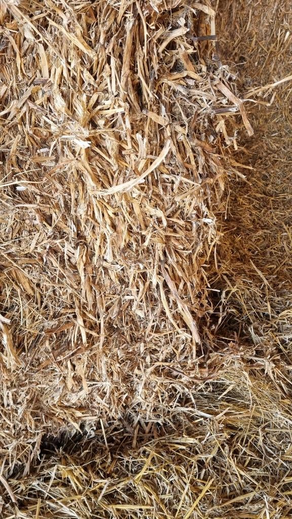 Erwten stro, Dieren en Toebehoren, Dierenvoeding, Ophalen, Vee