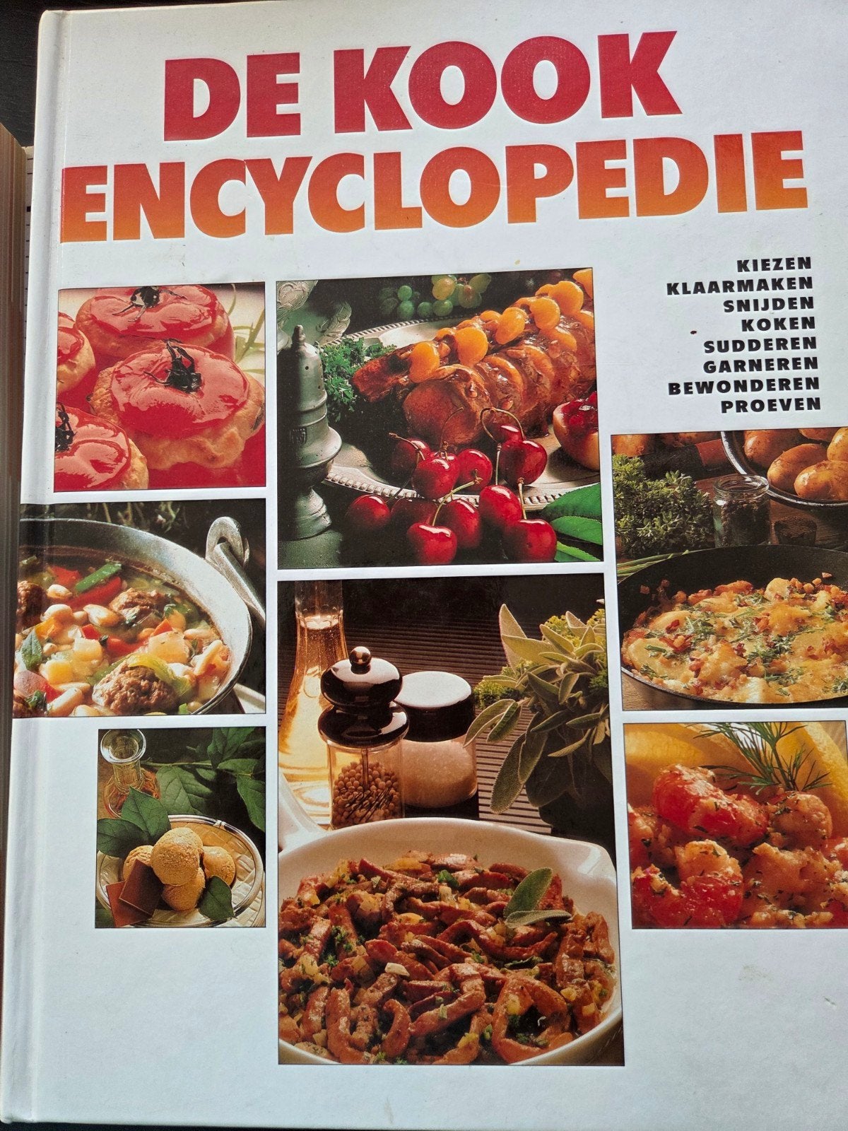 De Kook Encyclopedie - Uitgebreid Kookboek, Kookencyclooedie, Ophalen of Verzenden, Zo goed als nieuw, Voorgerechten en Soepen