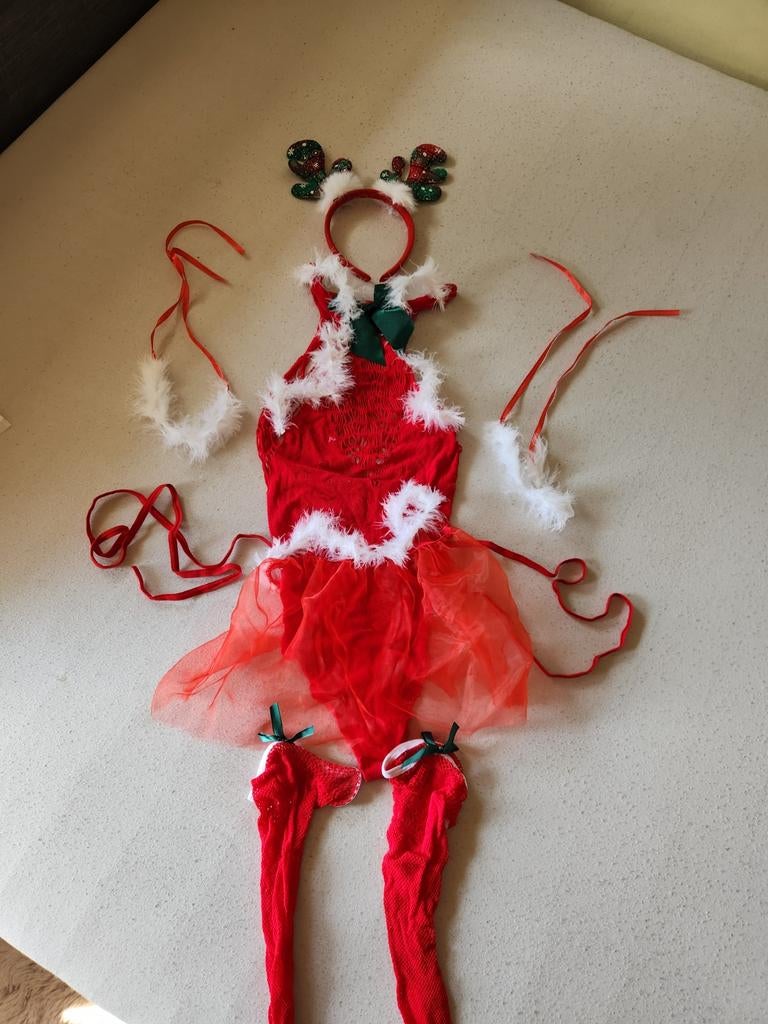 Rendier kostuum met accessoires, Ophalen of Verzenden, Zo goed als nieuw, Carnaval