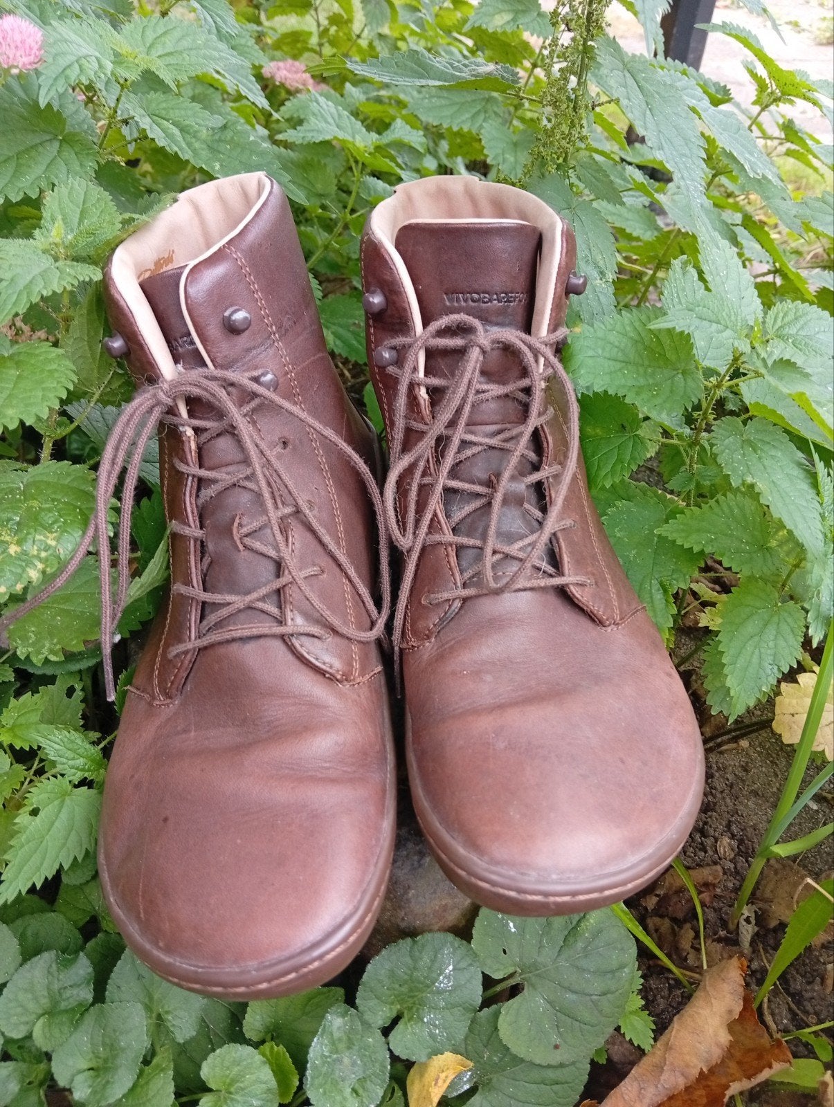 vivobarefoot, vivo barefoot leren schoenen, Kleding | Dames, Ophalen, Bruin, Vivobarefoot, Wandelschoenen
