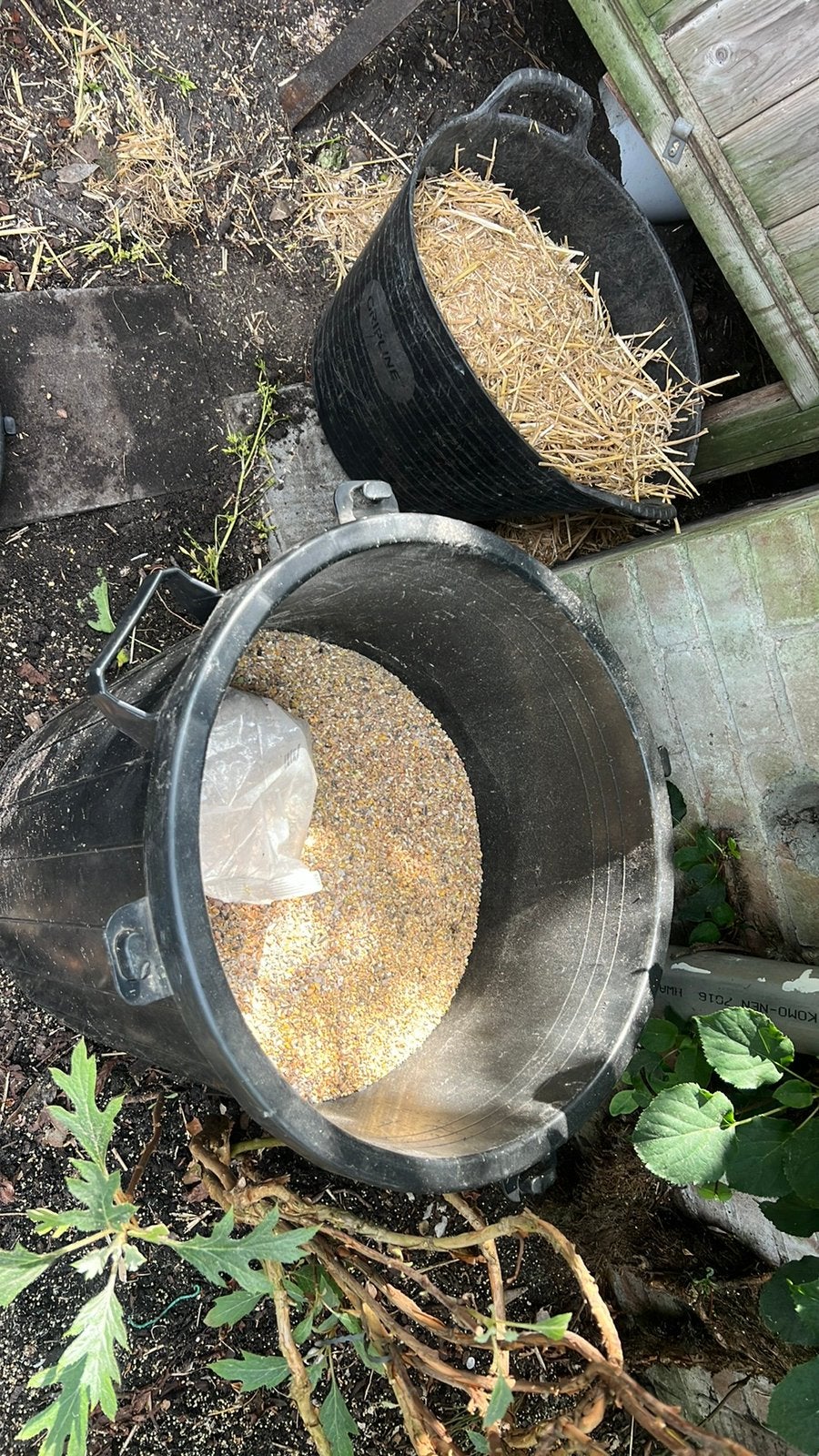 Kippen voer., Dieren en Toebehoren, Dierenvoeding, Ophalen, Pluimvee