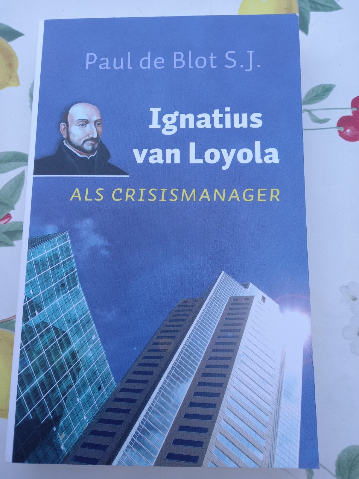 N P. de Blot - Ignatius van Loyola als crisismanager, Boeken, Ophalen of Verzenden, Zo goed als nieuw, P. de Blot