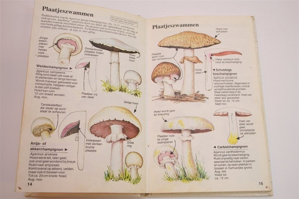 Natuurwijzer: Paddestoelen — Vinden en Herkennen, Ophalen of Verzenden, Gelezen, Vogels