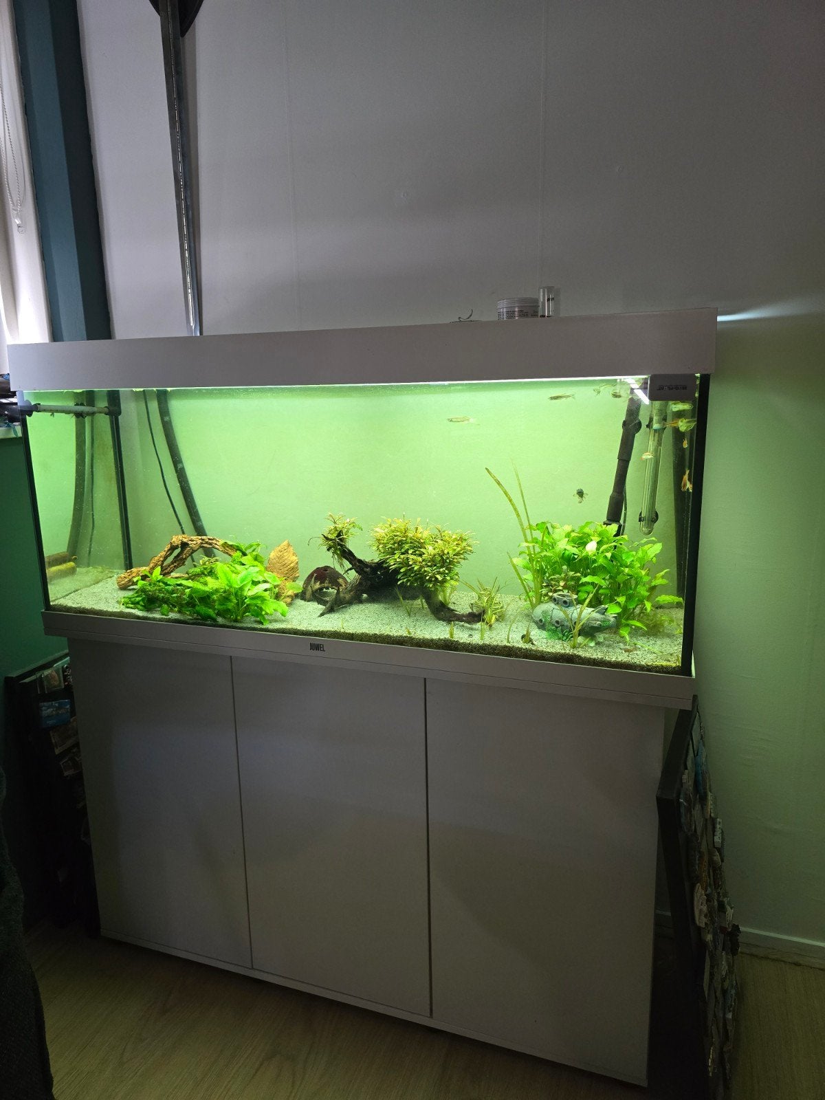 juwel Rio 240 wit., Dieren en Toebehoren, Ophalen, Gevuld zoetwateraquarium