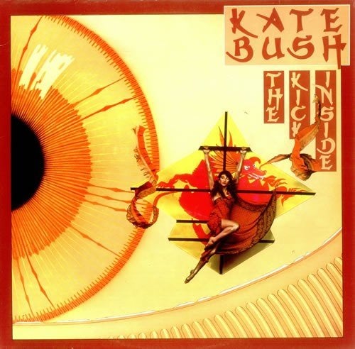 Kate Bush CD DVD 's - hoeft niet in 1 koop, Ophalen of Verzenden, Zo goed als nieuw