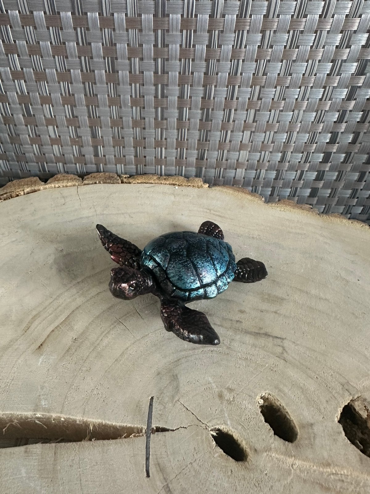 Schildpad Klein. Handmade, Ophalen of Verzenden, Nieuw, Dier
