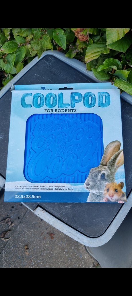 Kowloon Cool Pod, Dieren en Toebehoren, Knaagdieren, Maart, Meerdere dieren