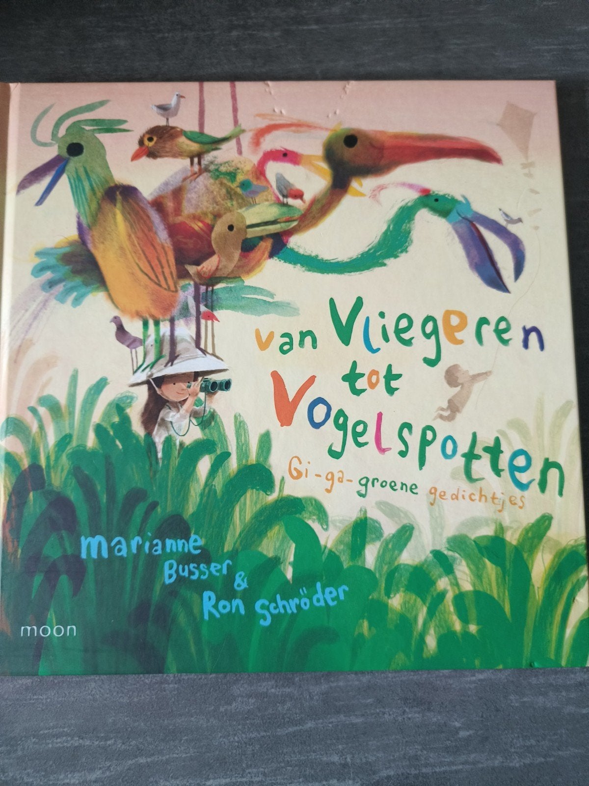 Marianne Busser - Van vliegeren tot vogelspotten, Fictie algemeen, Ophalen of Verzenden, Zo goed als nieuw, Marianne Busser; Ron Schröder