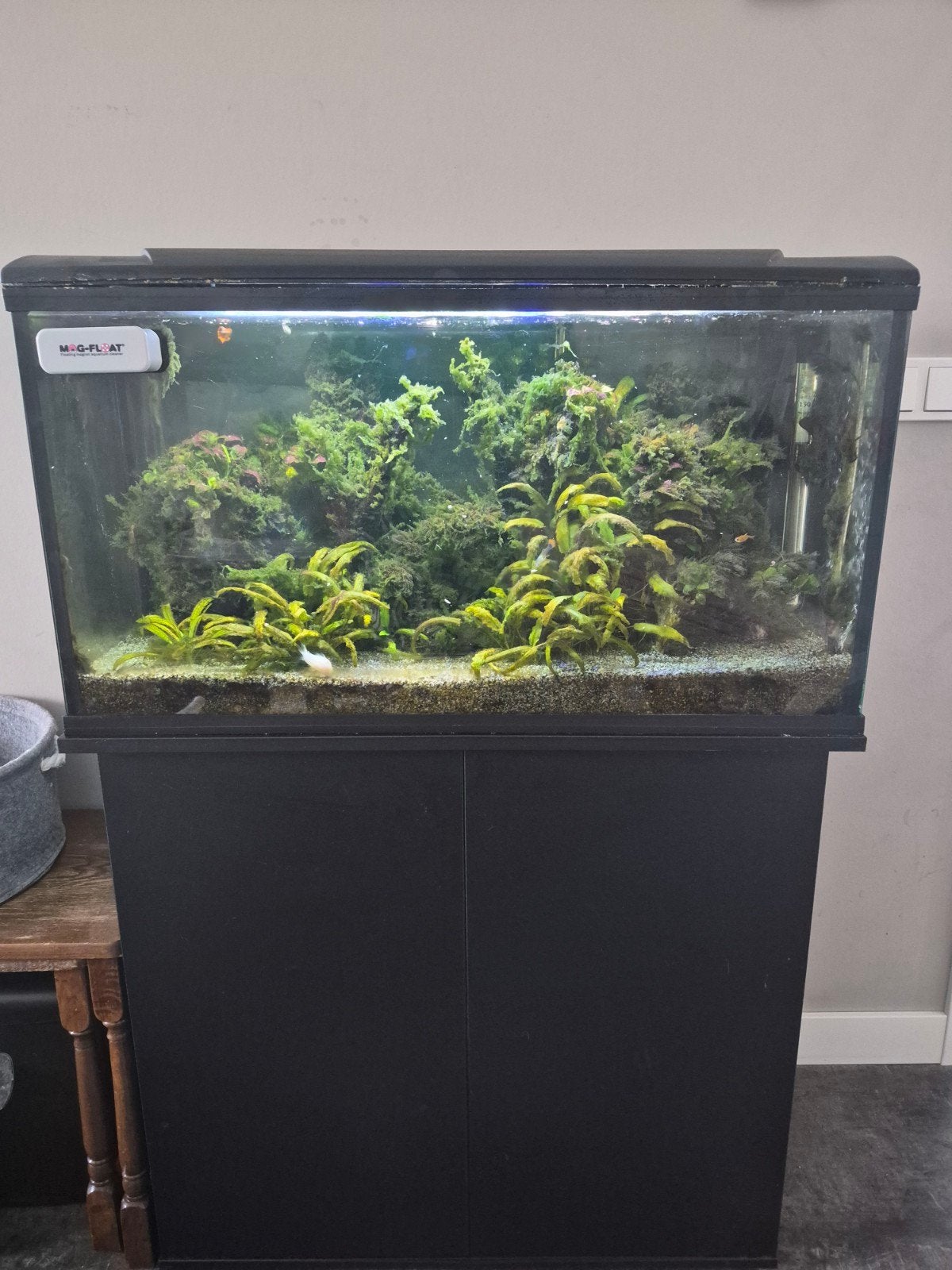 HS Aqua 110 - 80cm - met kast, Ophalen, Gebruikt, Leeg aquarium