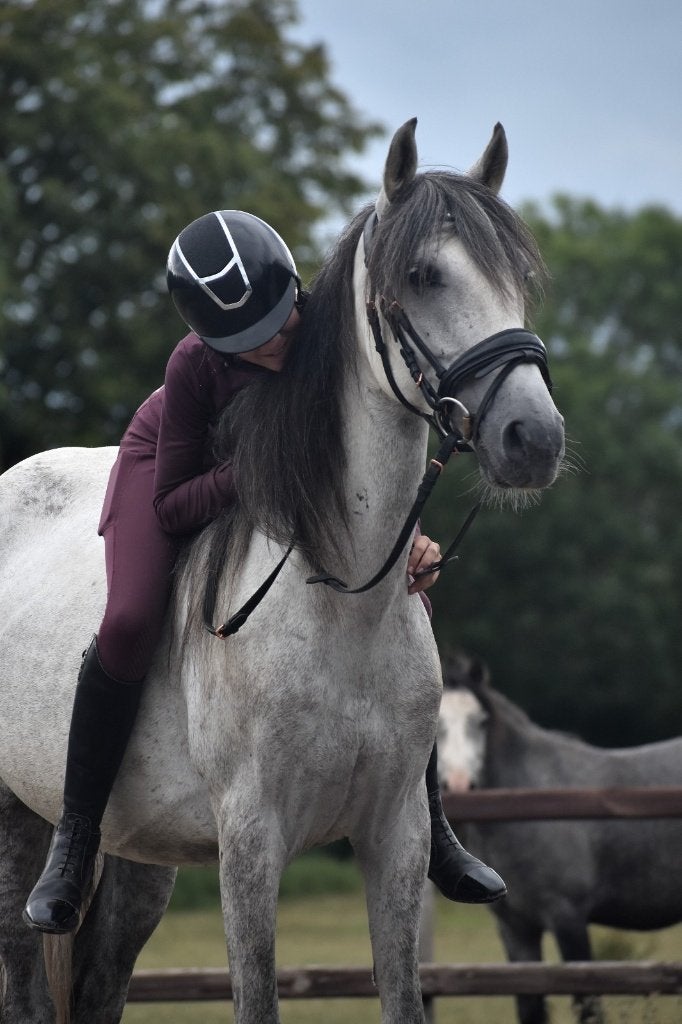 ## MEGA BRAVE en hele makke Epony ruin ##, E pony (1.48m - 1.57m), Ruin, Recreatiepony, Gechipt