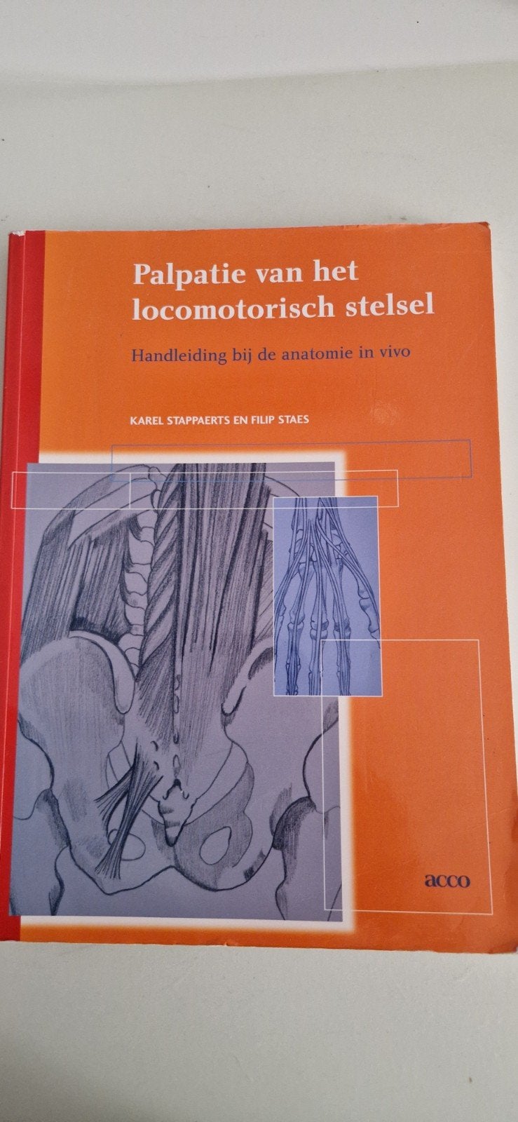 Palpatie van het locomotorisch stelsel - Anatomie in vivo, Boeken, Zo goed als nieuw, Karel Stappaerts en Filip Staes, Beta, HBO