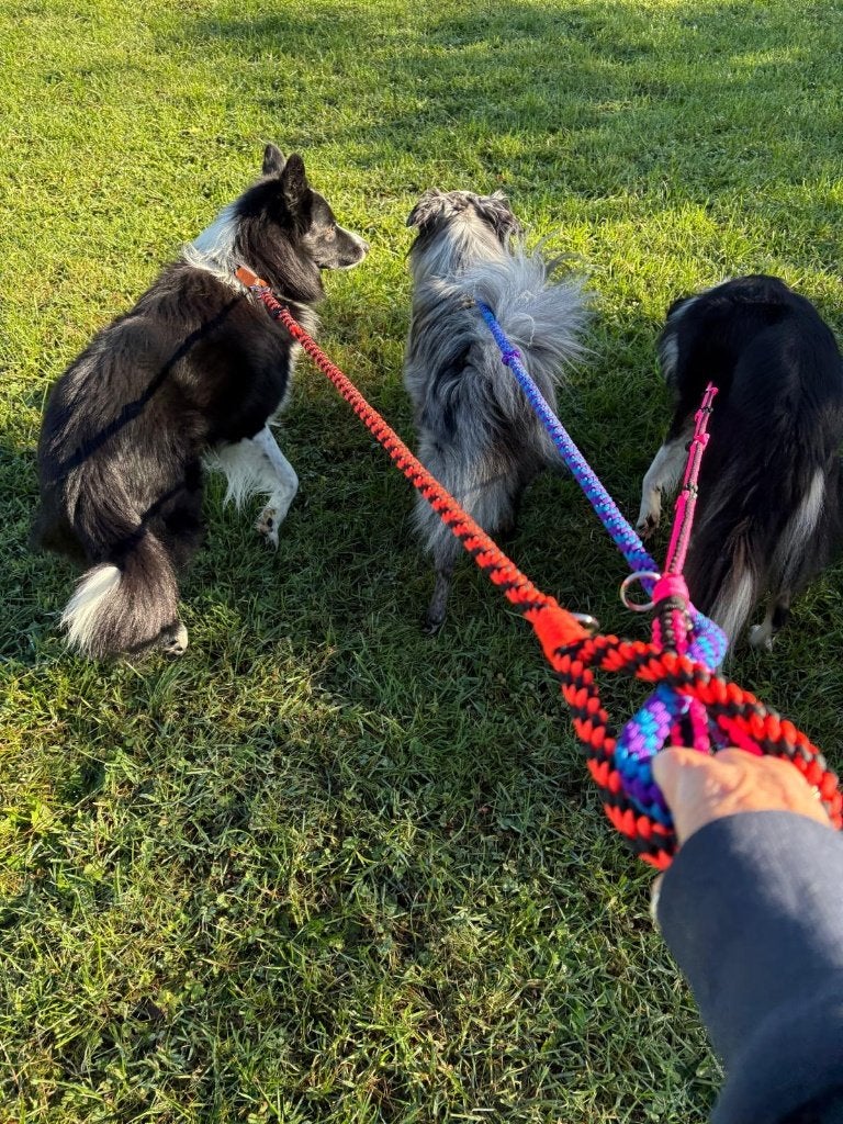 Hand made dog leashes, Dieren en Toebehoren, Overige merken, Ophalen of Verzenden, Nieuw, Hondenriem