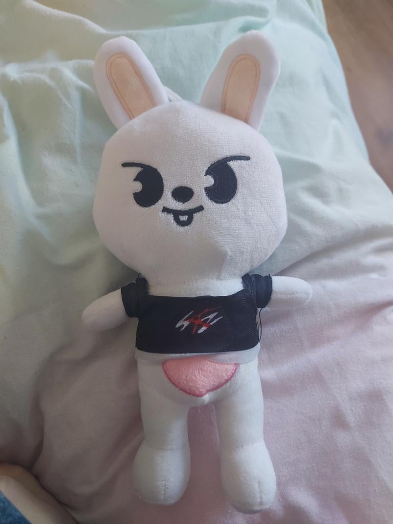 Leebit - Straykids - SKZOO, Ophalen, Zo goed als nieuw, Overige typen