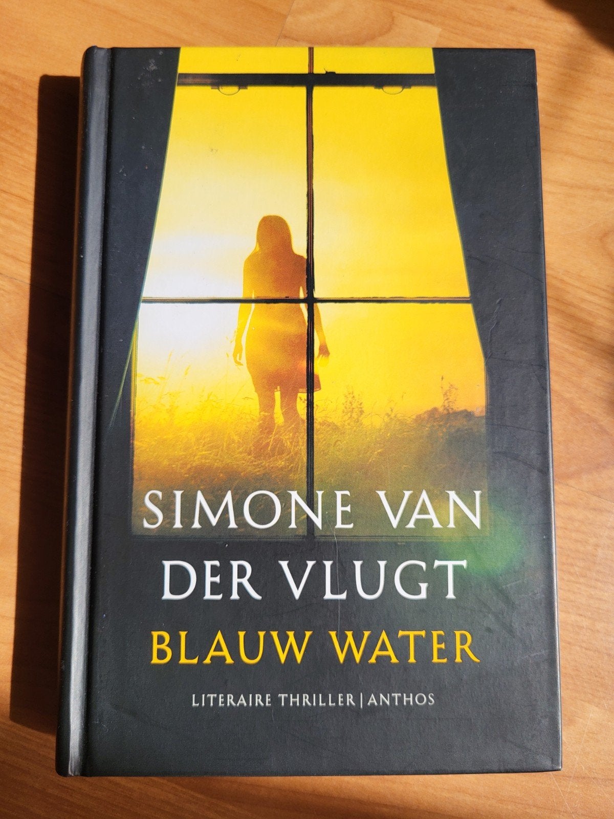 Simone van der Vlugt - Blauw water, Ophalen of Verzenden, Zo goed als nieuw, Simone van der Vlugt