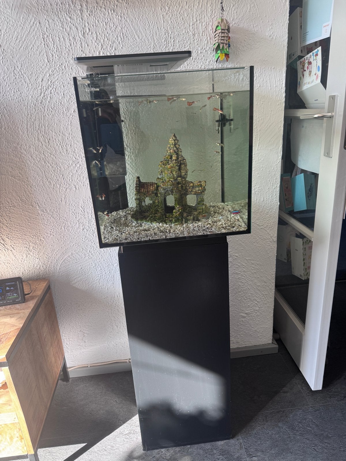 Kubus aquarium met voet, Ophalen, Aquariummeubel, Zo goed als nieuw, Pomp