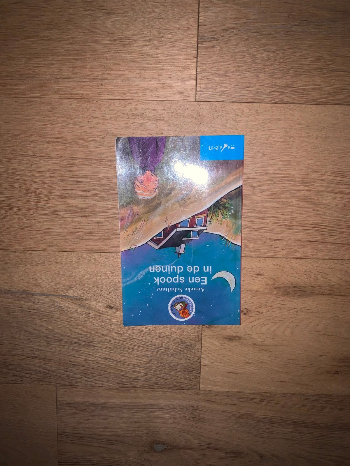 Een spook in de duinen - Anke Scholtens, Boeken, Ophalen, Gelezen, Fictie algemeen