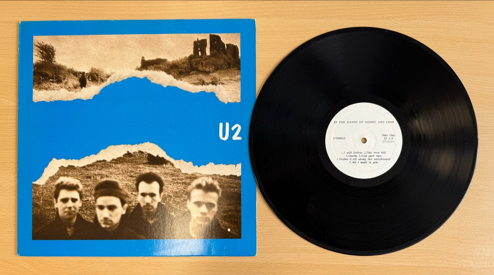 U2 - In the Hands of Desire and Love - LP, LP, Rock, Gebruikt, Verzenden