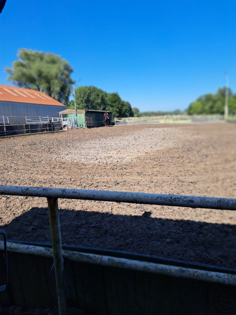 Stallen beschikbaar, Dieren en Toebehoren, Weidegang, 2 of 3 paarden of pony's