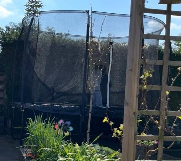 Salta trampoline comfort edition 305x214cm, Ophalen, Gebruikt
