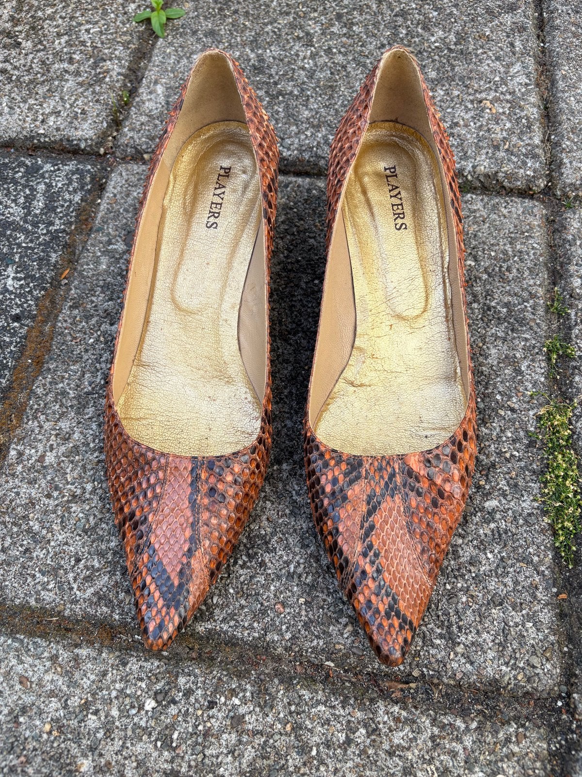 Players Pumps van echt slangenleer maat 39, Ophalen of Verzenden, Gedragen, Bruin, Pumps