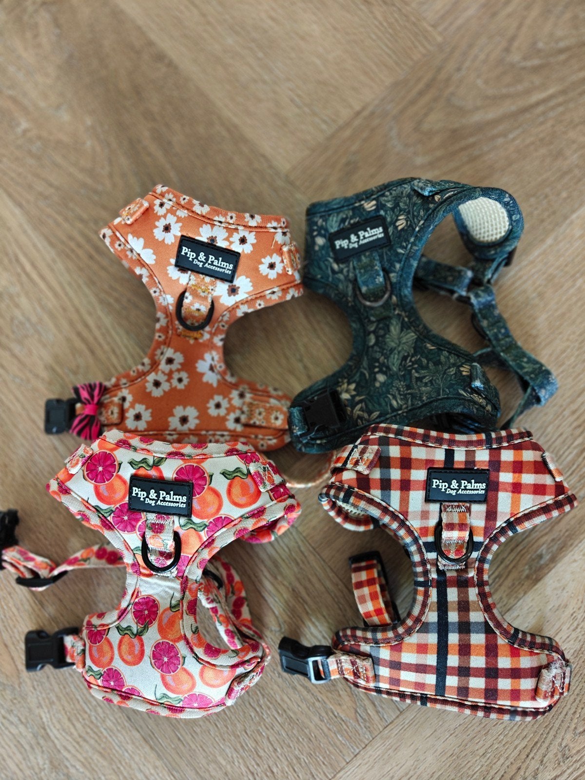 4 x Pip and Palms hondentuigjes maat XS, Ophalen of Verzenden, Zo goed als nieuw