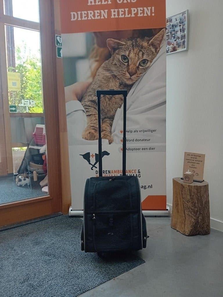 Huisdierenrugzak/trolley voor katten of kleine honden, Dieren en Toebehoren, Ophalen, Zo goed als nieuw