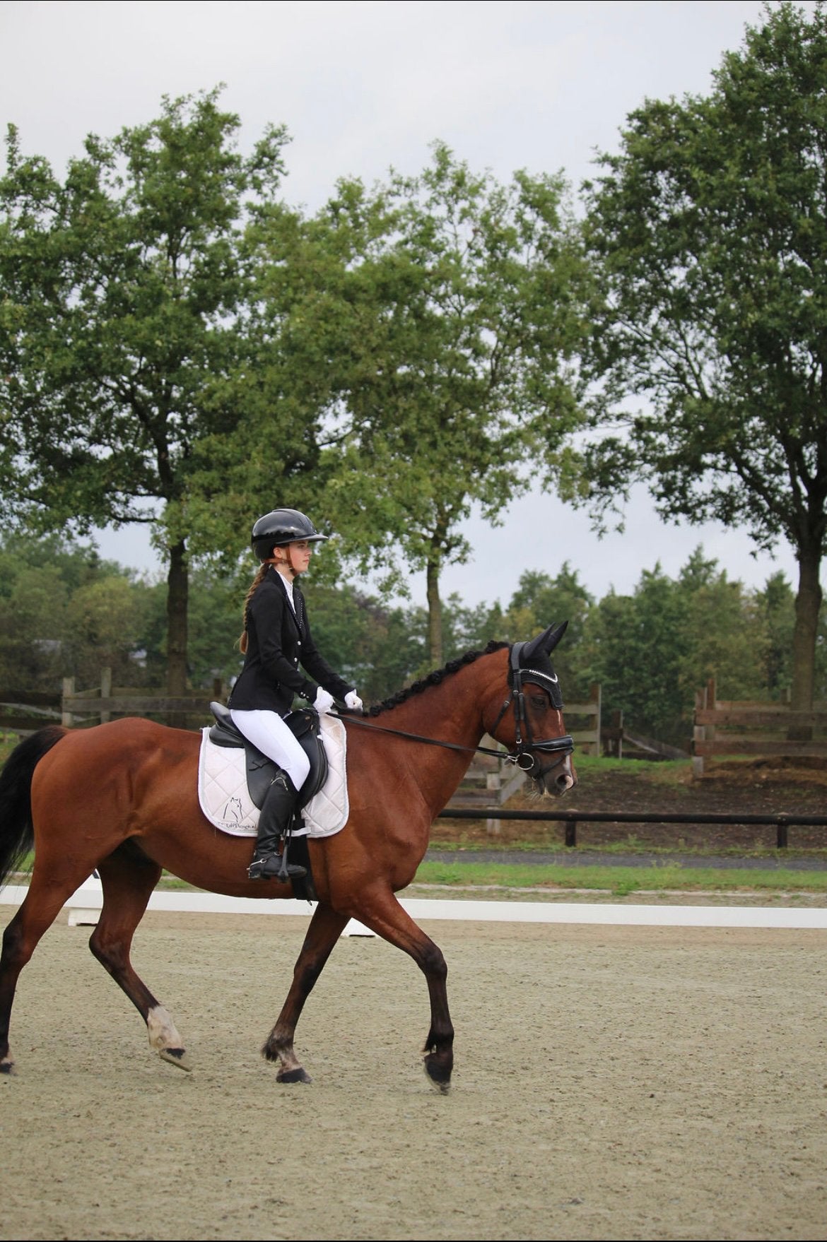 Mooie 7 jarige ruin, Dieren en Toebehoren, Gechipt, Ruin, Dressuurpaard, Zadelmak