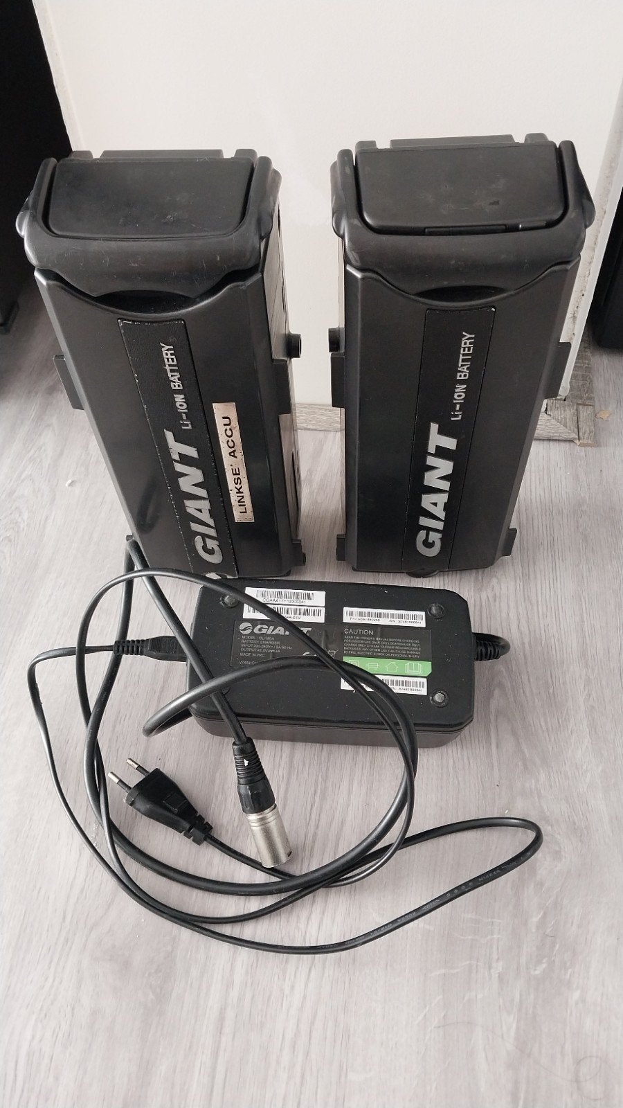 Twee accu's van de Giant Twist elektrische fiets, Fietsen en Brommers, Ophalen, Gebruikt, Overige merken