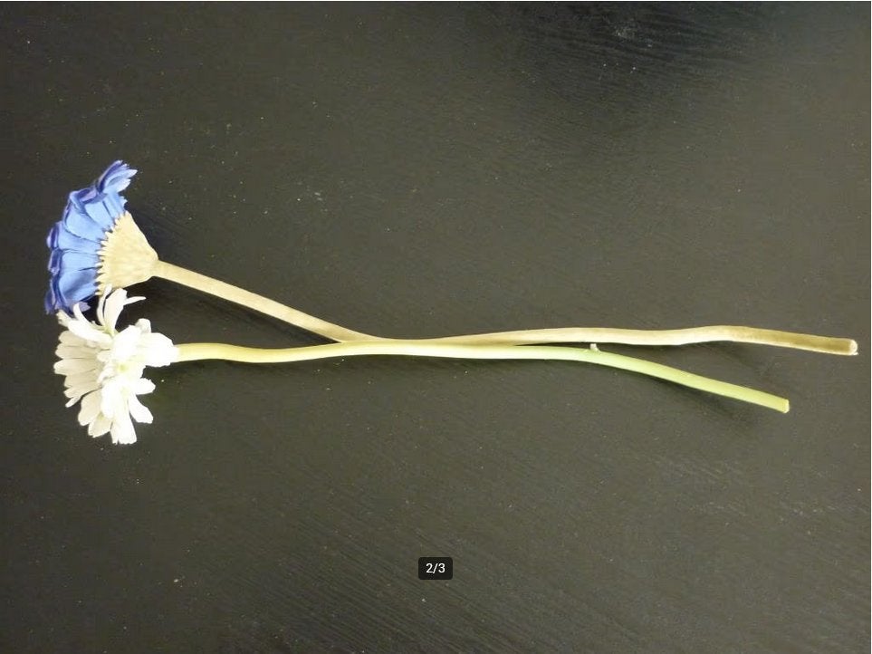 Kunstbloem blauw & wit / gerbera / bloemen / bloemmetjes, Binnen, Kunstbloem, Ophalen of Verzenden, Zo goed als nieuw